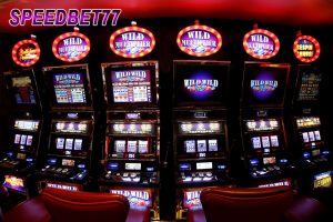 Hal Penting Yang Harus Diperhatikan Saat Main Di Bandar Judi Slot